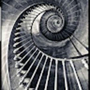 Meet your Posher, Rylee